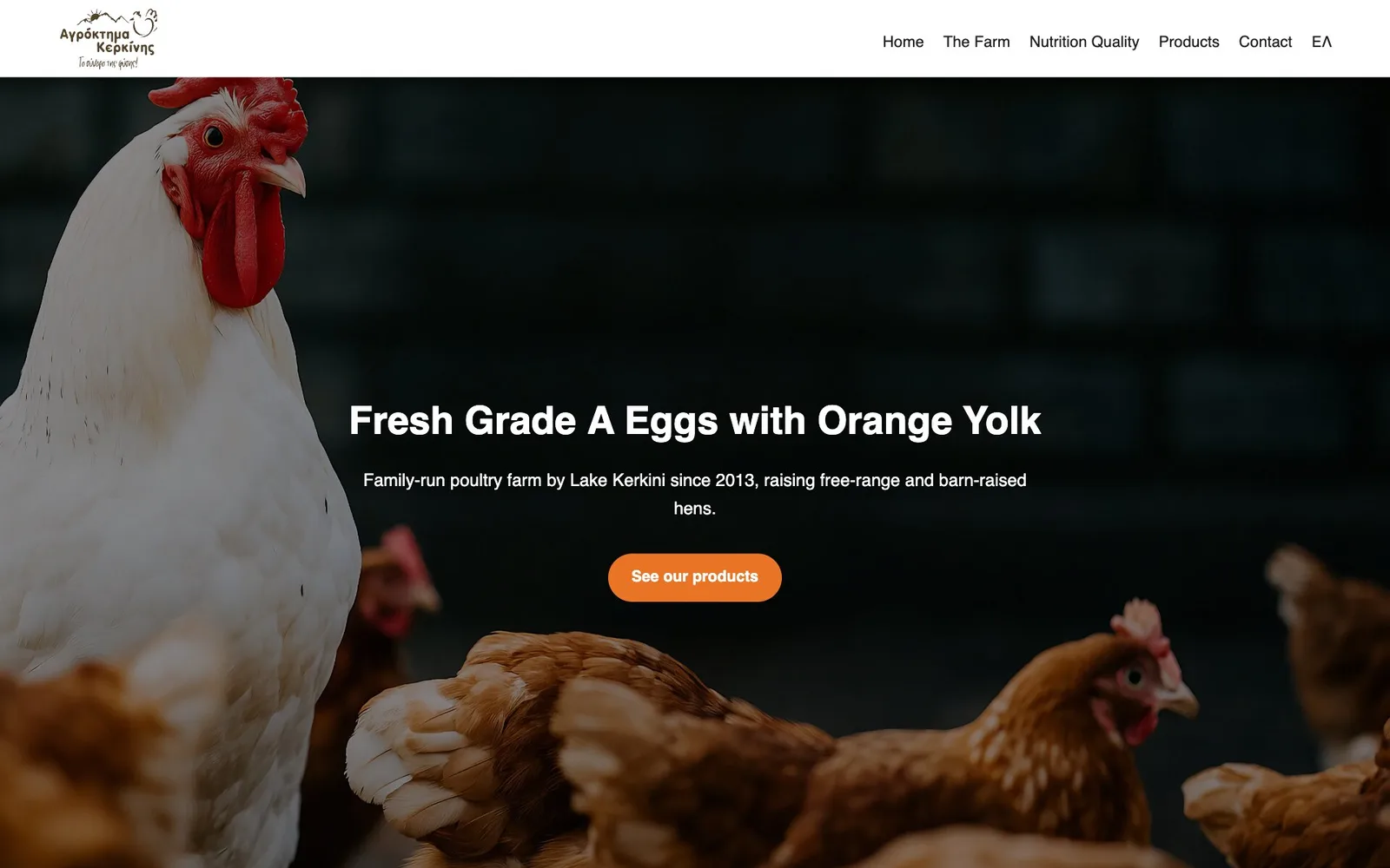 The Agroktima Kerkinis home page in English: the hand-lettered Greek logo "Αγρόκτημα Κερκίνης" with a sun over mountains and a hen, and the menu Home, The Farm, Nutrition Quality, Products, Contact and ΕΛ; over a dark photograph of a white chicken with a red comb among brown hens, the headline "Fresh Grade A Eggs with Orange Yolk", the line "Family-run poultry farm by Lake Kerkini since 2013, raising free-range and barn-raised hens." and an orange "See our products" button.