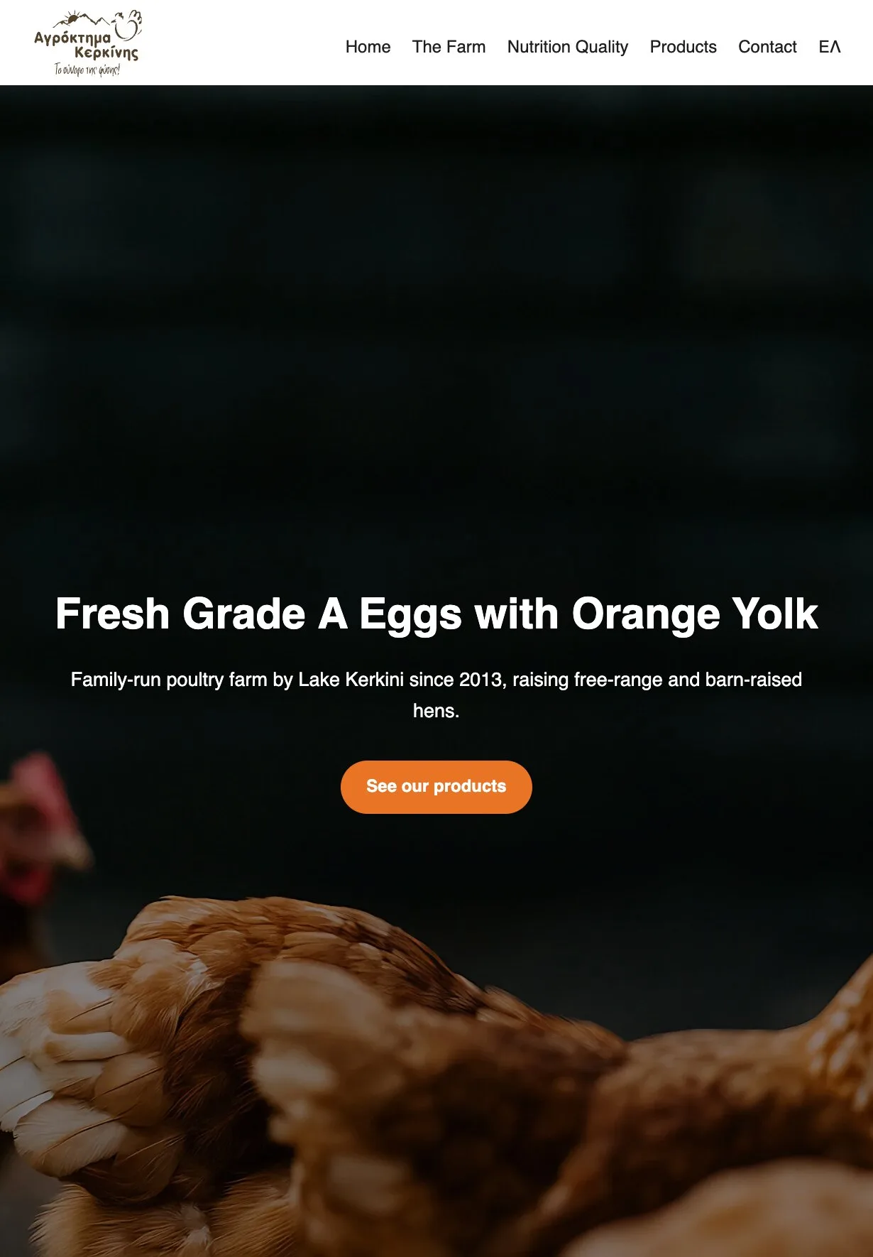 The home page on a tablet: the logo and the whole menu in one row, then a dark photograph with the headline "Fresh Grade A Eggs with Orange Yolk" on one line, the line about the family-run farm by Lake Kerkini and the orange "See our products" button, above the blurred backs of brown hens.