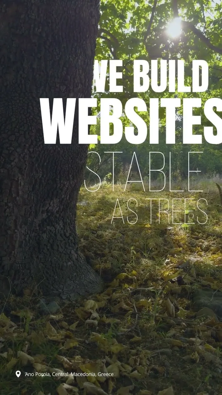Poster frame from the video “Lean On Us, We Are Stable as Trees”