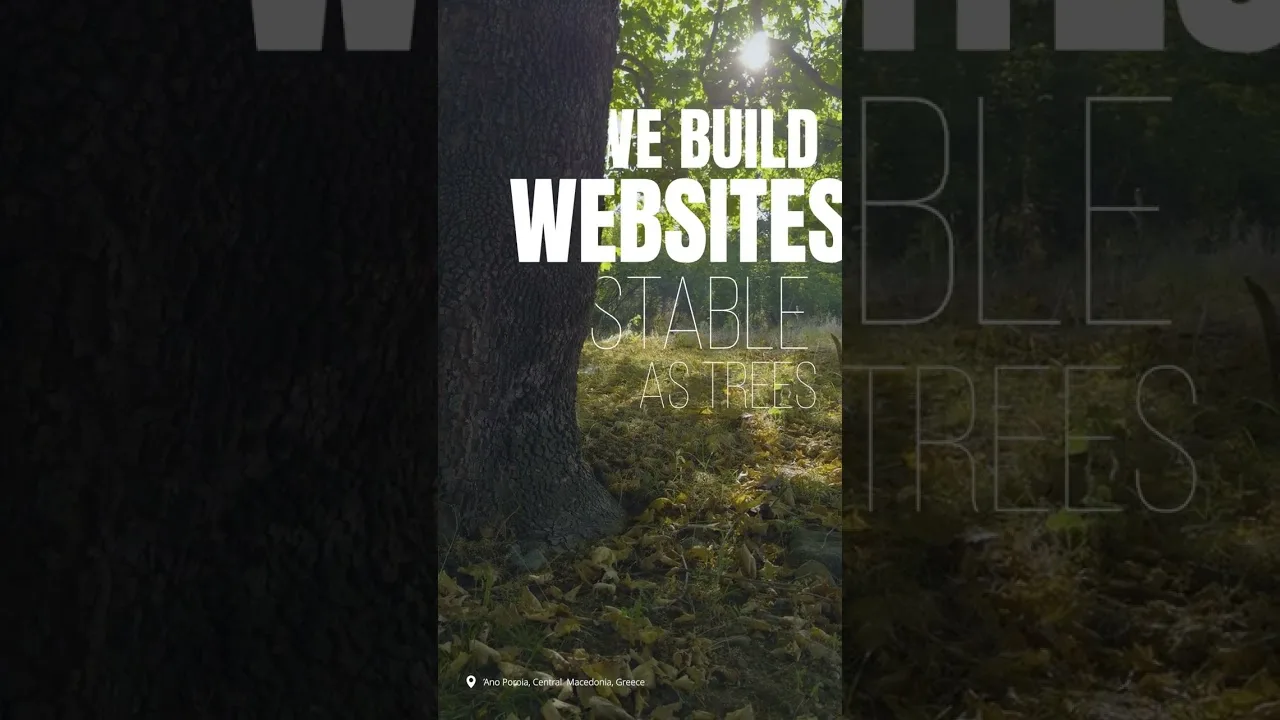 Poster frame from the video “Lean On Us, We Are Stable as Trees”