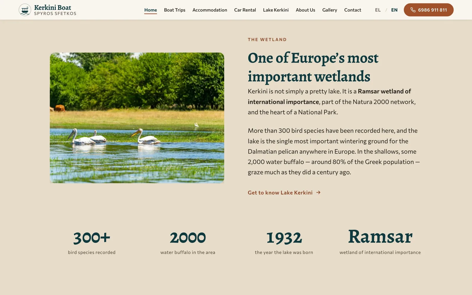 The section "One of Europe's most important wetlands" on a sand-coloured background: a photograph of three white pelicans swimming in shallow water in front of a meadow and trees, beside two paragraphs about the Ramsar wetland, its birds and its water buffalo and a link to the lake guide; below, four large figures: 300+ bird species recorded, 2000 water buffalo in the area, 1932 the year the lake was born, and Ramsar, wetland of international importance.